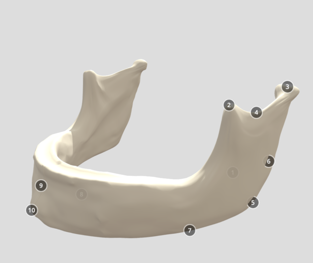 3D Model of a mandible (made with Blender)